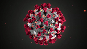 研究：人類對中共病毒的免疫力是短暫的