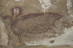 4.55萬年前的疣豬 印尼發現最古老動物壁畫