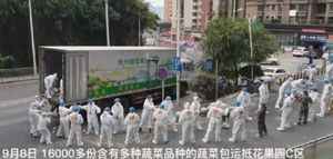 貴陽大白接力傳1.6萬份菜？民嘲諷 官急刪文