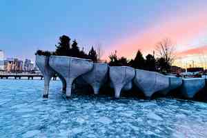 冰雪奇緣在紐約 二月浪漫之地