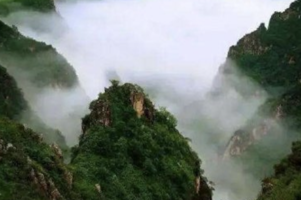 河北老人神仙山造萬步「天梯」 耗時11年