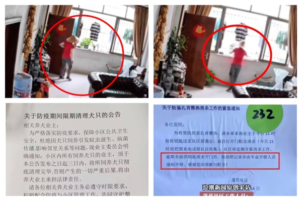 江門滅蚊亂象叢生 社區要居民交鑰匙、處決狗