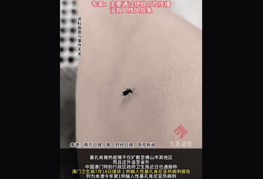 廣東「基孔肯亞熱」超四千 有患者無法下地行走