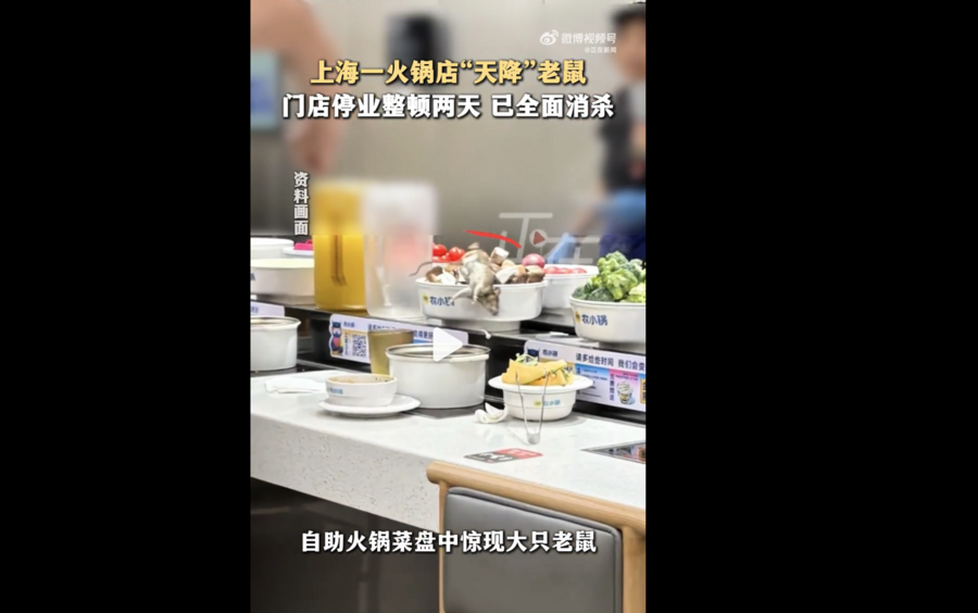 上海「農小鍋」火鍋店天降大隻老鼠 掉入菜盤
