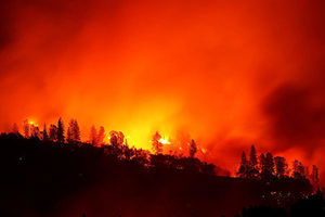  蓋蒂大火襲加州 史瓦辛格攜家人凌晨撤離豪宅