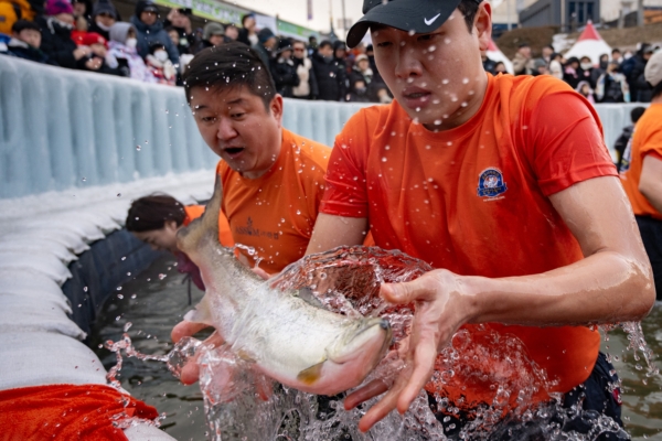 【圖輯】韓國山鱒魚慶典 數萬遊客享冰釣樂趣
