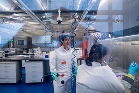 圖為武漢病毒研究所新發傳染病研究中心主任石正麗在進行實驗。（Johannes Eisele/AFP）