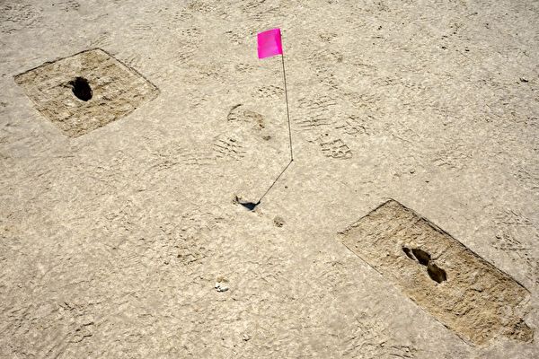 美國猶他州沙漠發現大批1萬2千年前人類足跡