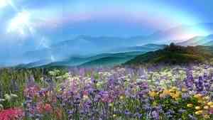 金山風雲之頂天立地（8）花好月圓