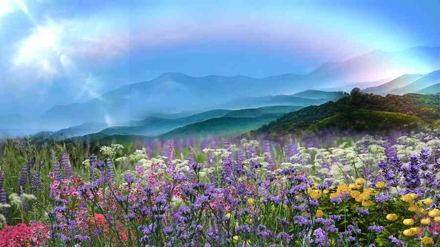 金山風雲之頂天立地（8）花好月圓
