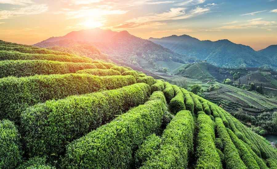 唐宋明茶道留給今人甚麼文化財產與影響？