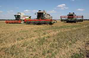 波蘭匈牙利禁烏克蘭穀物 歐盟警告勿單邊行動