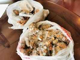 以大量硬幣付員工薪水 菲律賓公司遭停業15天