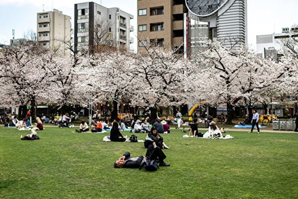 2023年3月22日，日本東京墨田區，民眾在公園的櫻花樹下休息。（Philip Fong/AFP）