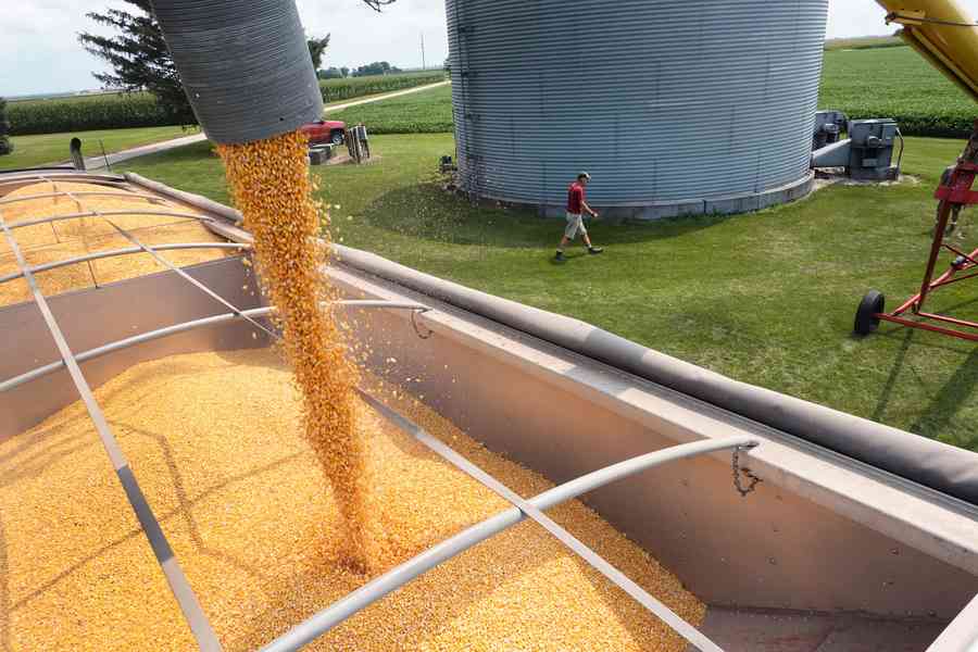 中東戰事推高糧價漲勢 美農民爭相出售農作物