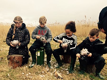在伊斯特本市西升小學，學生們正在學習拔鴿毛。（資料照，西升小學提供）