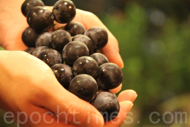 青松絮語：家釀酒