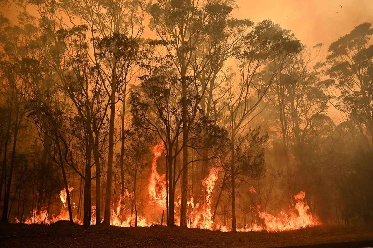 澳洲山火資料圖片。（PETER PARKS/AFP via Getty Images）