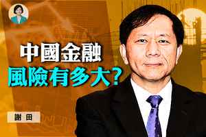 【方菲訪談】謝田：中國金融領域風險有多大？