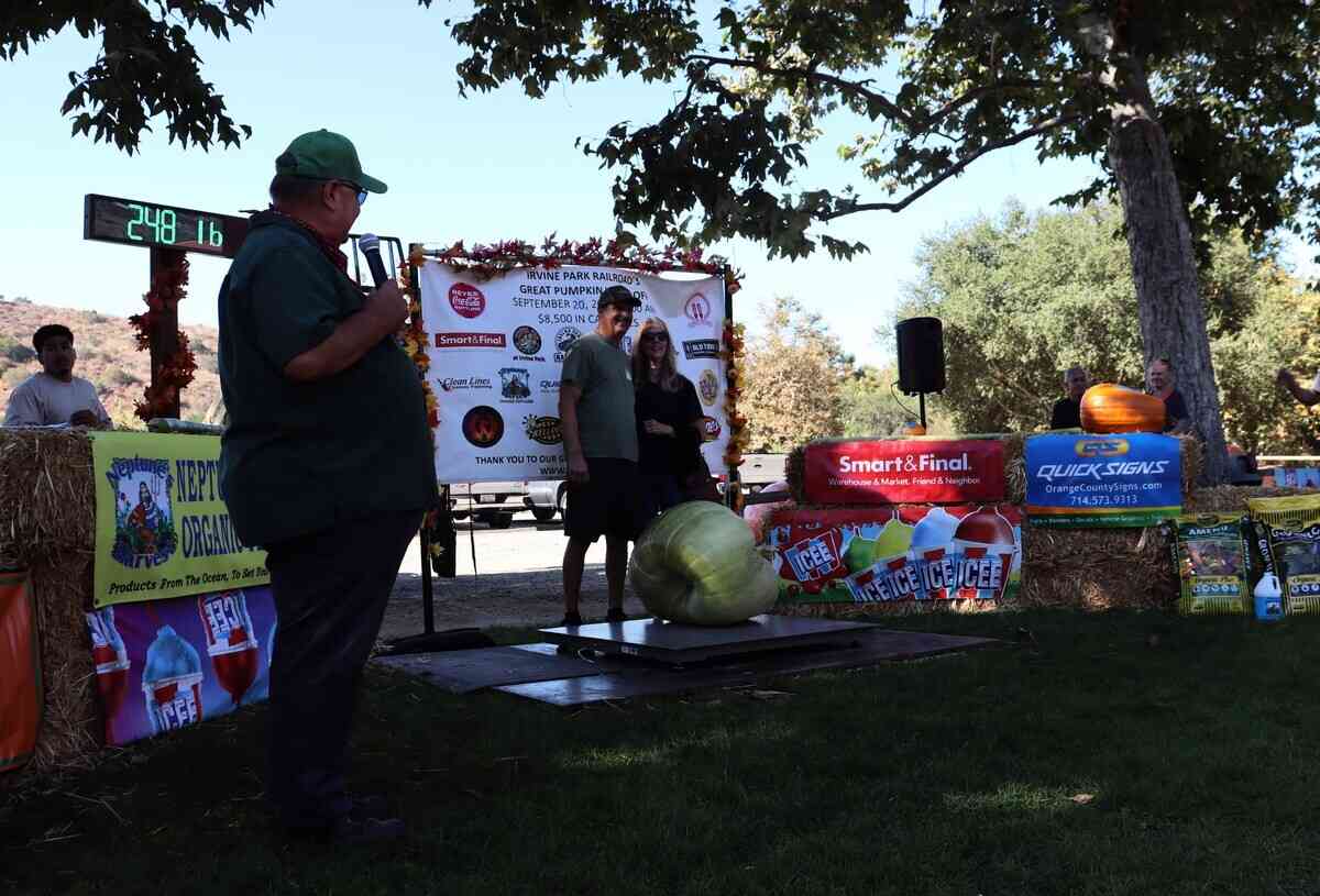 2025年9月20日,第10屆年度種植南瓜稱重大賽(Great Pumpkin Weigh-Off)在爾灣地區公園(Irvine Regional Park)舉辦,圖為來自聖地牙哥縣桑蒂(Santee)市的文斯·喬治(Vince George)帶來是淡綠色的南瓜/葫蘆(squash)。(李梅/大紀元)