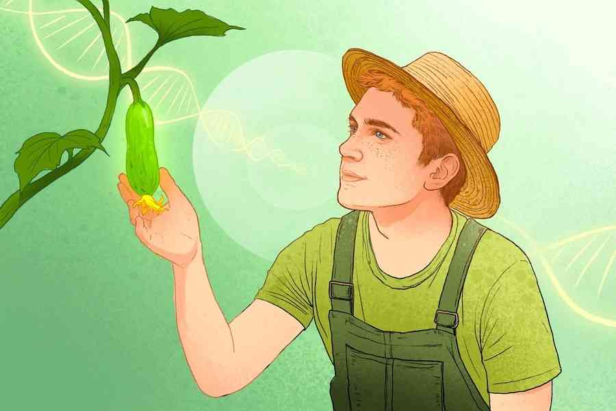 耐心能讓你更年輕更長壽？科學告訴你原因
