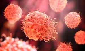 科學家開發抗癌新法：改造細菌從內部吃掉腫瘤