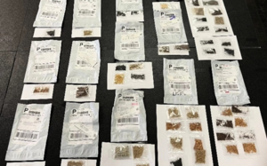 美國德州農業局查獲1100多件中國神秘種子包裹