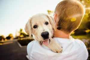 動物行為學家：小狗與主人團聚會有「喜悅的眼淚」