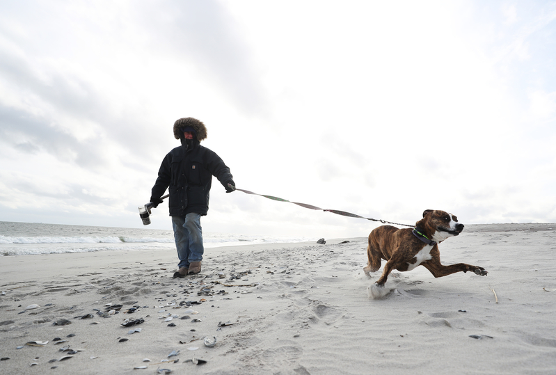散步時愛犬對其它小狗吠叫 如何制止？