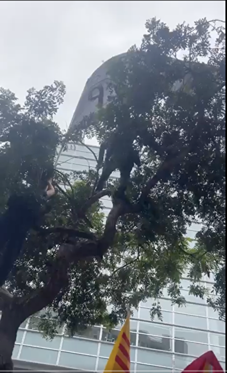 有兩個民主黨員爬上樹，打出了一面黑旗「八九六四中共血債」，站立了一個多小時。（影片截圖）