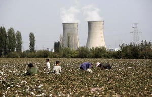 美禁新疆棉花 中國巨額出口時裝鏈斷裂