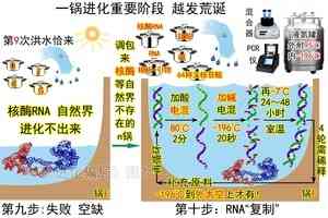 進化騙局（24） 核酶無影 太空穿梭（上）