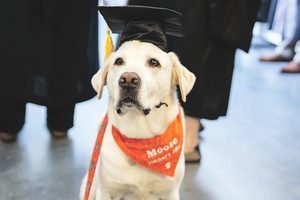 幫助無數學生 美國治療犬獲頒榮譽博士學位