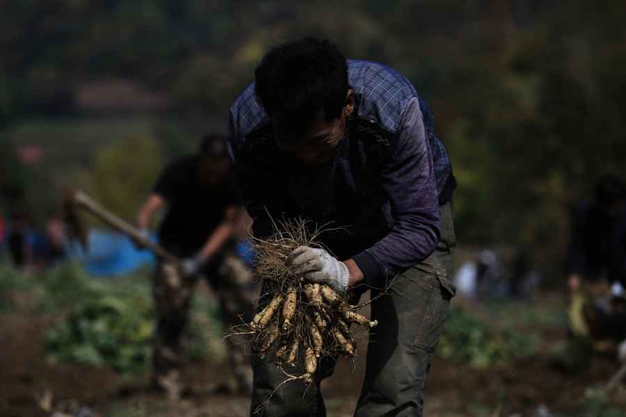 中共地方財政惡化 吉林通榆縣撤銷逾900個機構