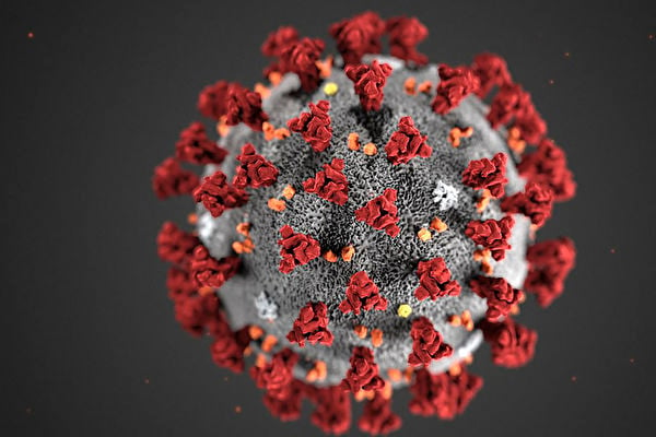 圖為「中共病毒」（SARS-CoV-2）示意圖。（美疾控中心CDC圖片）