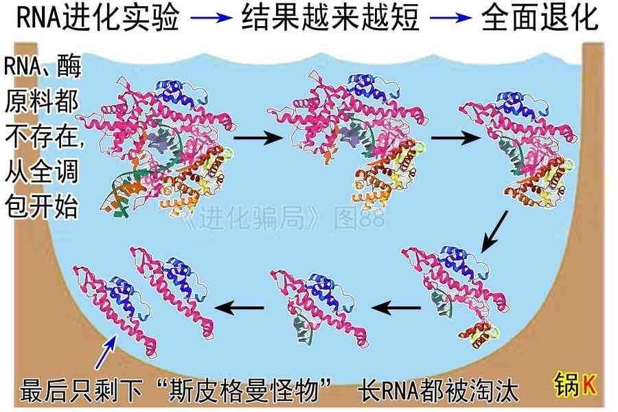  進化騙局（28） 斯皮格曼怪物 葬送進化之說