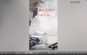 廣東12城爆發基孔肯雅熱 運動式滅蚊惹民怨