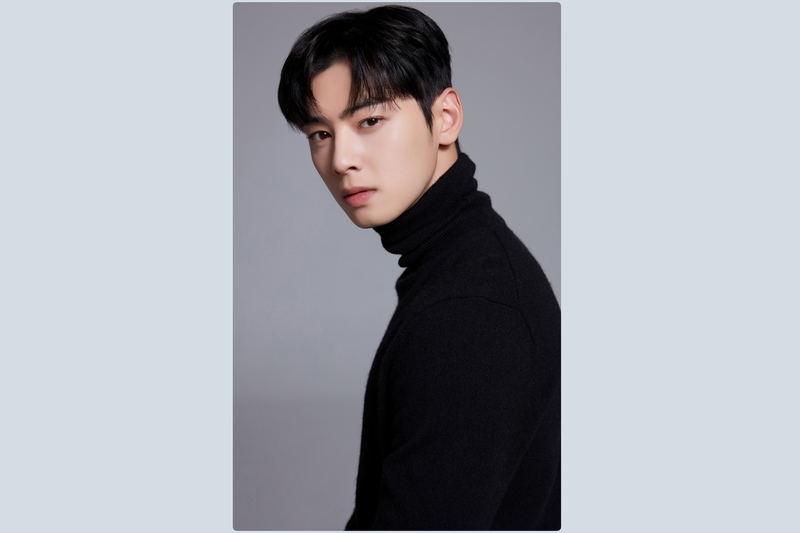 車銀優納稅約130億韓圜 重複課稅將退還