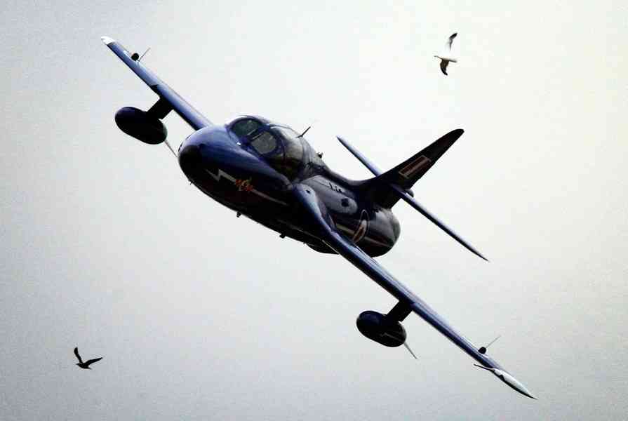 險撞軍機 西南航空客機急俯衝 兩人受傷
