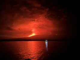 厄瓜多爾火山噴發 恐威脅島上瀕危物種
