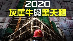 【熱點互動】2020中國經濟灰犀牛與黑天鵝