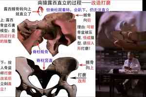 進化騙局（34） 造假打磨 世界認可