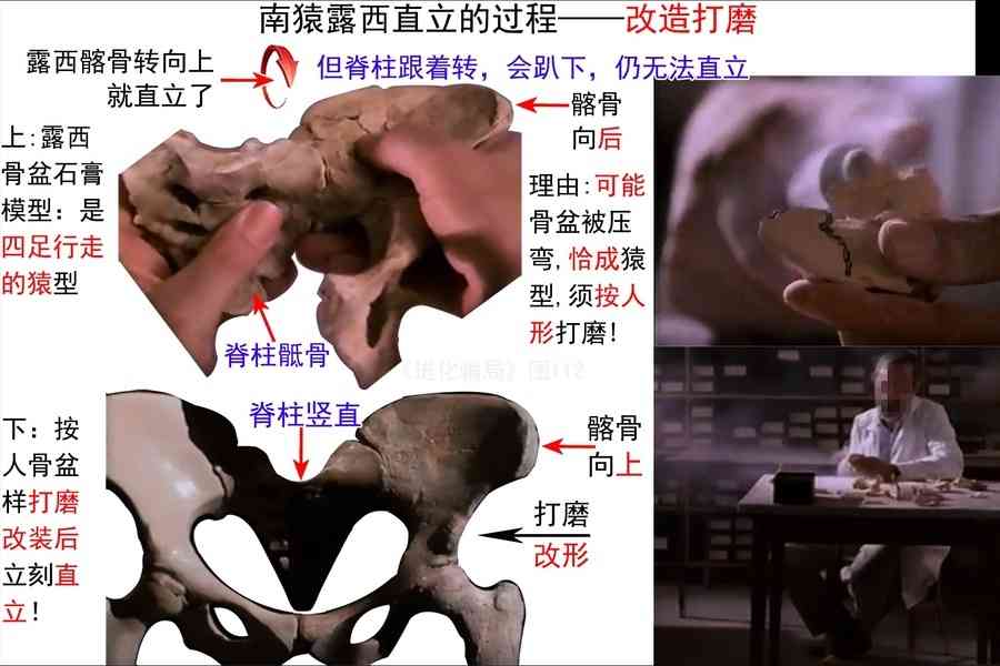 進化騙局（34） 造假打磨 世界認可