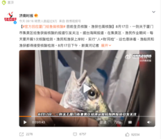 廈門給魚蝦做核酸遭嘲諷 專家稱魚感染無證據