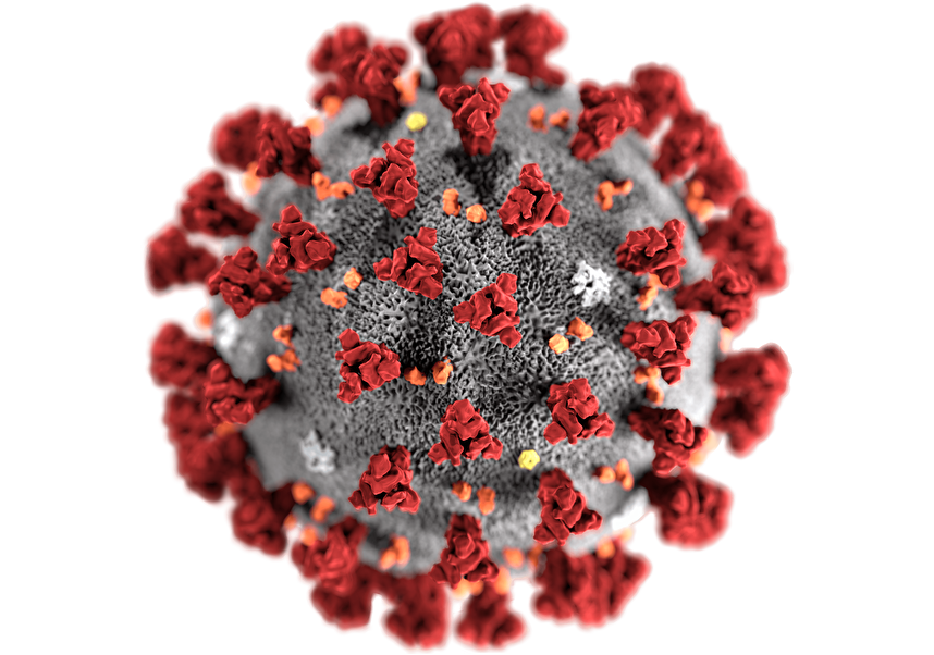 美國2月21日宣佈，有34宗中共病毒確診病例。圖為中共病毒（CCP Virus，俗稱COVID-19病毒）示意圖。（www.cdc.gov）