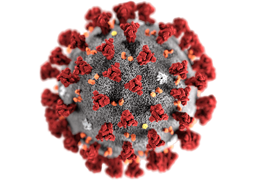 CDC：美確診34宗新冠病例 21宗來自撤僑