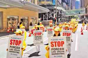 逾50.5萬人聯署 籲各國制止中共活摘器官