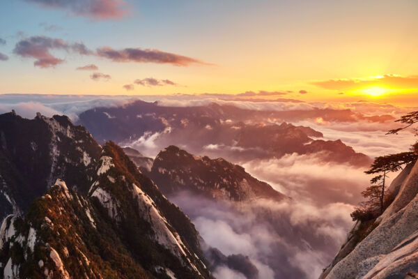 金山風雲之頂天立地（12）集體上訪