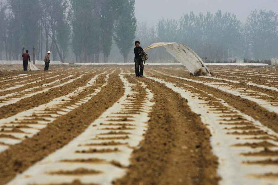農業問題層出不窮 中國糧食供應受威脅