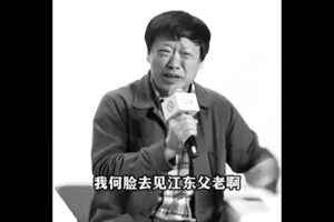 胡錫進退休金數額被曝光 網上熱議